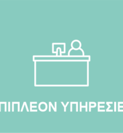 epipleon-ypiresies