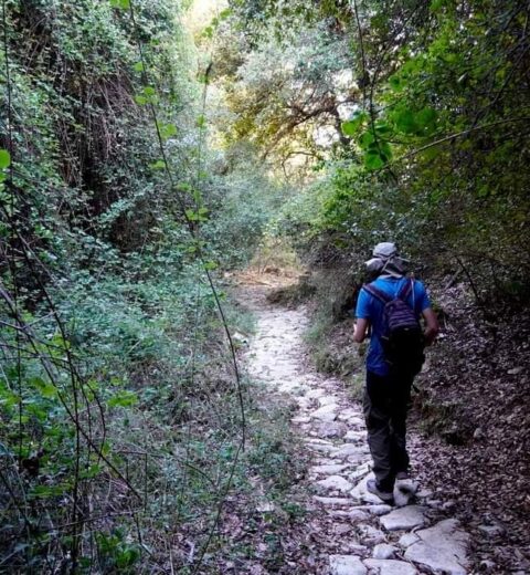 King Casino: чому цей онлайн-майданчик вартий вашої уваги