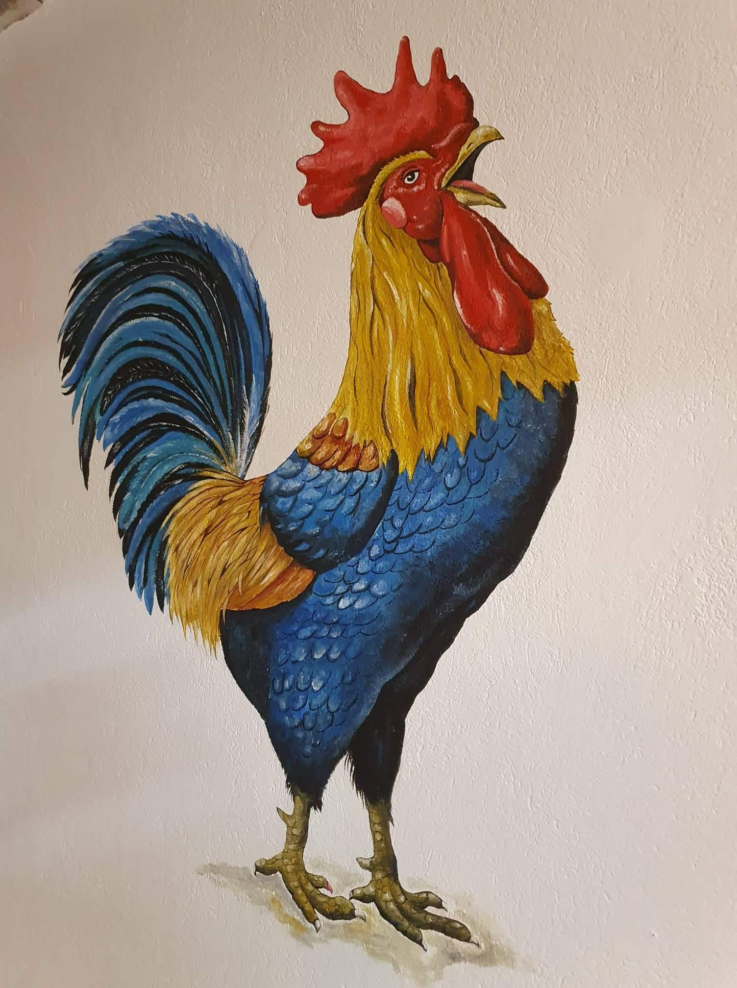 Crazy Rooster 🌈