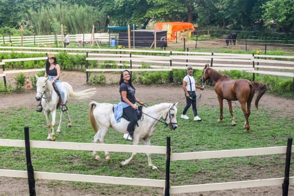Skiathos Horse Riding Center